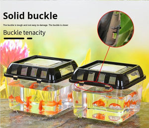 Groothandel Klein Vierkant Transparant Plastic <span class=keywords><strong>Aquarium</strong></span> Voor Goudvissen En Huisdierenschildpad Elegant Transparant Doosaccessoire - Product Image 2