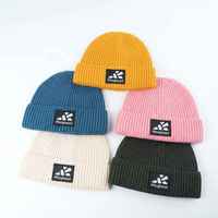 Bonnet tricoté chaud d'hiver pour l'extérieur, personnalisé avec logo tissé, design tendance