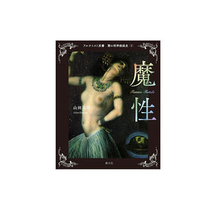 Livre de référence Sogensha, impression de livres de vente, reliure parfaite pour jeux, mangas et autres projets créatifs, série Alchemist, Japon - Product Image 1