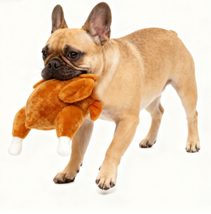 Cartone animato di plastica cane tacchino giocattolo da masticare con <span class=keywords><strong>Squeaker</strong></span> - Product Image 1