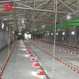 Chicken Broiler Poultry Farming Feeding Drinking Equipment