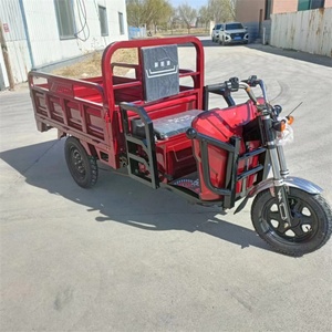 Factory Direct Sales 60V 1000W China Electric Cargo 3 Wheel Tricycle Adult Electric Tricycle for Cheap Sale - Product Image 5