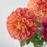 Rangkaian Bunga Sutra Geranium Dahlia Buatan Tangan Berkualitas Tinggi Gaya Eropa Dekorasi Perayaan Thanksgiving