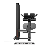 Usine Gym Fitness Equipment Pin Loaded Selectorized Back Extension Machine Select Back Extension avec Hyperextension Exercise
