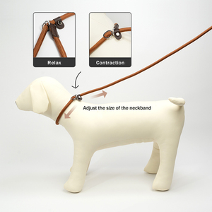 Laisse-Collier Réglable en Nylon, Motif Uni, Style Classique, pour Chien de Berger, Chaîne de Promenade - Product Image 5