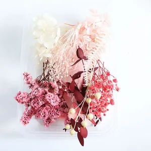Kit <span class=keywords><strong>de</strong></span> Matériaux DIY pour Fleurs Éternelles <span class=keywords><strong>de</strong></span> Noël : Hortensia, Sargasse, Fleurs Séchées, Fleurs Flottantes Parfumées - Product Image 6