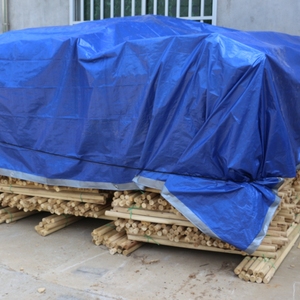 Bâche durable en PE enduit, anti-UV, résistante à l'eau, respirante et coupe-vent pour <span class=keywords><strong>trampoline</strong></span> extérieur - Product Image 2