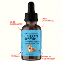 Complément nutritionnel OEM/ODM pour la santé intestinale des chiens et des chats, soutien ciblé pour le tractus gastro-intestinal inférieur