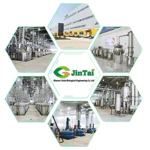 Marul Ekstresi Tozu Laktsin Lactuca Sativa Ekstresi Tedarik Yüksek Kaliteli Yabani Marul Ekstresi - Product Image 6