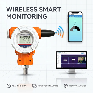 Sensor Inalámbrico 4G NB-IoT a Prueba de Explosiones con Pantalla Digital de Alta Resolución y Alarma para Suministro de Agua - Product Image 1