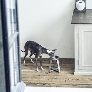 Vente chaude grand bol de nourriture surélevé pour chats chiens petit grand accessoire en céramique approvisionnement écologique pour les autres animaux de compagnie support d'accès - Product Image 3