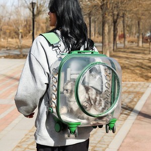 Sac de transport transparent pour animaux de compagnie avec roulettes, pour petits chiens et chats, approuvé par les compagnies aériennes, forme carrée, capacité 7500 - Product Image 2
