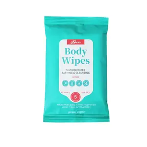 OEM Large Size Rinse Free Fresh Body Wipes Biodegradable Anti-sweat Wipes For Adults Disposable No Rinse Body Wipes Flushable