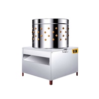 Plumeuse à poulet entièrement automatique HHD, taux d'élimination des plumes de 98 %, SD30, pour volailles et cailles, composant moteur en acier