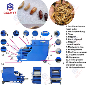 Nouvelle machine de tri des vers de <span class=keywords><strong>farine</strong></span> et des coléoptères de 9e génération, machine de tamisage des vers de <span class=keywords><strong>farine</strong></span> jaunes - Product Image 6