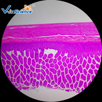 Human Histology Microscope Prepared Teaching Slides(100kinds) Histology Slide
