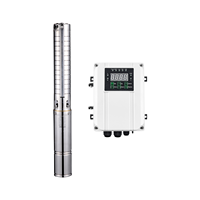 Système de pompe à eau solaire submersible DC pour puits profond de 4 pouces avec impeller en acier inoxydable pour l'irrigation agricole