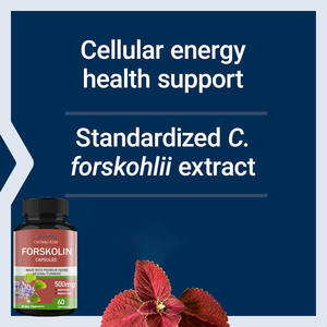 Harga terbaik suplemen <span class=keywords><strong>Forskolin</strong></span> ekstrak Coleus <span class=keywords><strong>Forskolin</strong></span> kapsul pelangsing Vegan Coleus <span class=keywords><strong>Forskolin</strong></span> untuk manajemen berat badan - Product Image 5