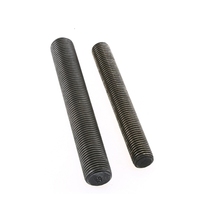 DIN 975 Threaded Rod M6 M8 M10 M12 M16 M20 Carbon Steel Black Oxide Thread Rod with Hex Nuts Fasteners Factory Wholesale