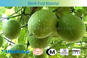 Boa solução de água fresca momordica grosvenori luo han guo monge extrato de fruta em pó