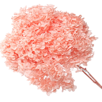 Lovebay bunga Hydrangea asli diawetkan, bunga Hydrangea asli merah putih dengan batang untuk pesta pernikahan rumah
