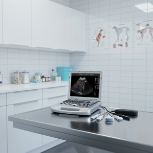 Échographe médical pour animaux de compagnie, scanner d'échographie pour animaux, équipement de clinique vétérinaire, machine vétérinaire, échographie portable pour vétérinaires - Product Image 2