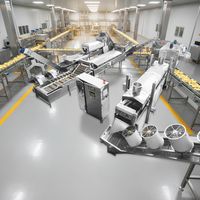 Industriële TCA-chipsverwerkingsmachine, 200 kg automatische productielijn voor aardappelchips