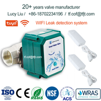 Vanne de détection de fuite d'eau WIFI Vanne d'eau intelligente Arrêt automatique Acier inoxydable Laiton BSP NPT Vanne de régulation de débit motorisée