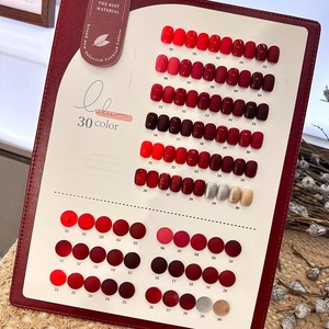 Set di Smalti Gel Rossi ad Alta Pigmentazione, Etichetta Privata Personalizzata, Colore Rosso Ciliegia per Capodanno, 15 ml - Product Image 3