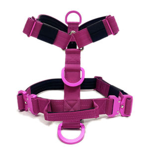 <span class=keywords><strong>Collar</strong></span> para Mascotas de Alta Calidad con Logotipo Personalizado, Conjunto de Arnés Táctico para Perro con Hebilla de Aluminio Resistente y Neopreno Cómodo - Product Image 2