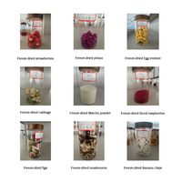 Huchuan Commercial Lait Bonbons Produits Laitiers Légumes Aliments Déshydratation Machines Air Froid Lyophilisateur Gel Fruits Secs Machine 500 Kg