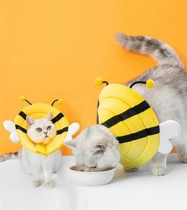 Collier éthylatoire pour chat OEM/ODM, mignon et extra confortable, doux et réglable - Product Image 1