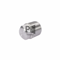 PT/NPT 1/16 1/8 1/4 3/8 1/2 3/4 1 ''1-1/4 1-1/2 2'' 304 Vierkant stopfen aus Edelstahl Hersteller OEM Vierkant schraube