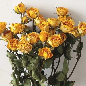 Bouquet di <span class=keywords><strong>Rose</strong></span> <span class=keywords><strong>Essiccate</strong></span> Naturali all'Ingrosso per Decorazione Domestica - Product Image 2