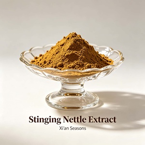 Extrait Pur de Feuilles de <span class=keywords><strong>Ortie</strong></span> 10:1 4:1 Beta – Approvisionnement Direct Usine  Poudre d'extrait de racine d'<span class=keywords><strong>ortie</strong></span> à la sitostérol Non  GMO - Product Image 2