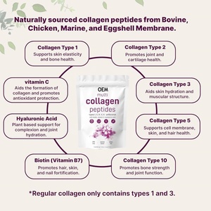 Polvo de péptidos de colágeno múltiple hidrolizado de etiqueta privada OEM para piel de belleza y cabello cultivado - Product Image 4