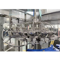 Ligne d'emballage et de remplissage entièrement automatique personnalisée pour vin, alcool, bière artisanale, machine de remplissage de bière