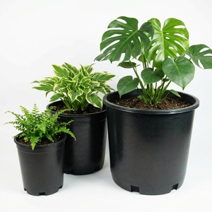 Pots de plantation ronds noirs en PP durables, logo personnalisé accepté, fournisseur de gros volume pour projets d'aménagement paysager commercial - Product Image 1