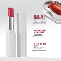En stock, Best-seller transfrontalier : Rouge à lèvres hydratant, brillant et repulpant ; Gloss à lèvres longue tenue, anti-transfert et non collant, vente en gros