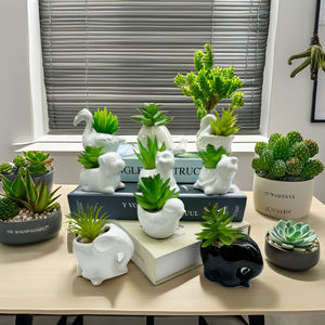 Mini Vert En Céramique En <span class=keywords><strong>Pot</strong></span> Artificielle Succulente Herbe PE Faux Matériel pour Ornements De Jardin Intérieur Mariages Argile <span class=keywords><strong>Pot</strong></span> De Fleur - Product Image 6