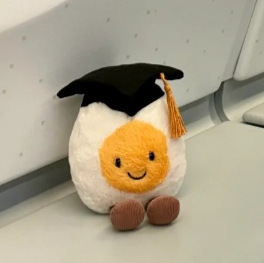 Doktor gekochtes Ei Abschluss Spaß Ei Plüsch tier Super Soft Bear Tröster Bestickte PP Baumwolle Füllung Geburtstag Anlass Paar - Product Image 6