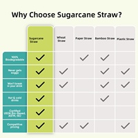 Pailles jetables écologiques biodégradables en pulpe de bagasse de canne à sucre et d'agave pour boissons, emballées