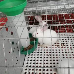 Fabricant professionnel de cages <span class=keywords><strong>à</strong></span> lapins de style européen pour usage commercial - Product Image 3