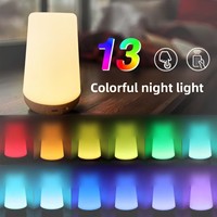 Lampe d'ambiance LED créative et moderne 13 couleurs, sans motif, pour chevet, chambres, bars, camping, rechargeable par USB