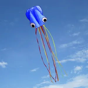 Kite 4m软章鱼卡通动物风筝五颜六色的小微风易飞风筝