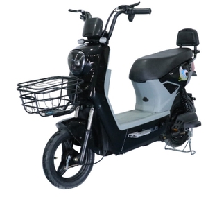 Ebike con cestino 48v 2 posti bicicletta elettrica <span class=keywords><strong>per</strong></span> adulti mozzo posteriore motore elettrico City Bike - Product Image 1