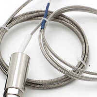 Capteur de température de fil de sonde étanche industriel WZP-187 type k thermocouple pt100
