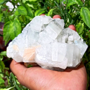 Wholesale Natural Mineral <b>Crystal</b> Specimen Rough Apophyllite <b>Crystal</b> <b>Cluster</b> for Collection - Product Image 6
