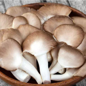 Harga Jamur Tiram Organik Segar Abu-abu Ekspor Cina - Product Image 5