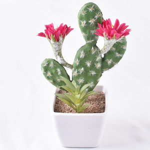 Piante artificiali Mini <span class=keywords><strong>Cactus</strong></span> miste ad alta simulazione verde esterno vero tocco - Product Image 3
